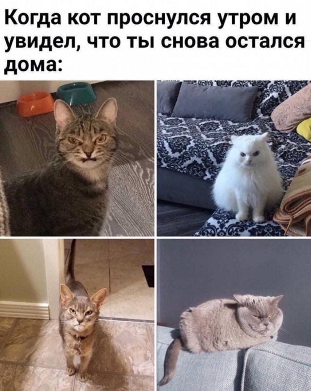 картинка 63282257fb 21270390