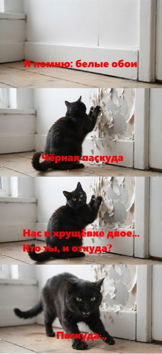 картинка 64a1059075 21305639