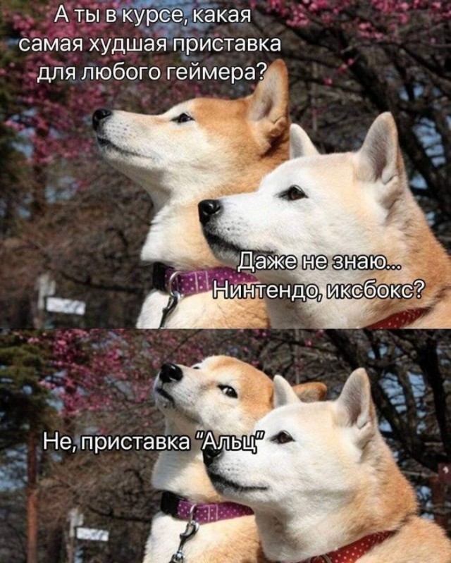 картинка 65ba28ecdc 21291297