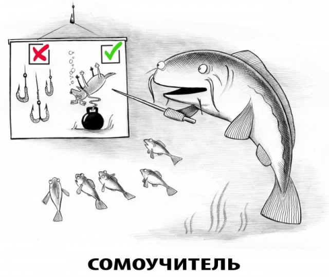 картинка 6a953c2724 21302749