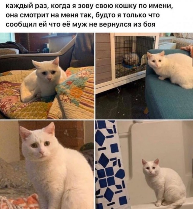картинка 6b4be6520e 21269554