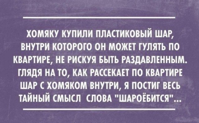 картинка 6c2c38b7ee 21269679
