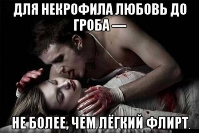 картинка 6d3b4aa01f 21320412