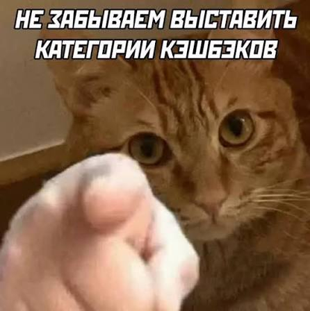 картинка 6e123fed0a 999999999