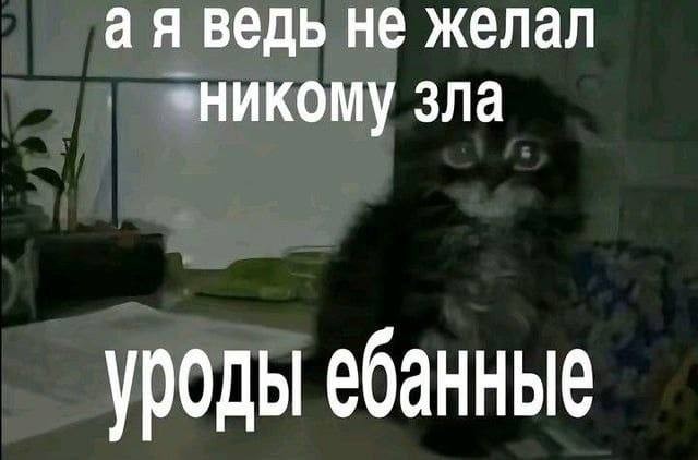 картинка 6e49818133 preduprezhdaem jetot kontent ne dlja vseh 2