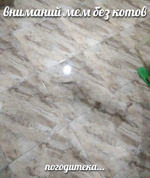 картинка 6e7429d445 000