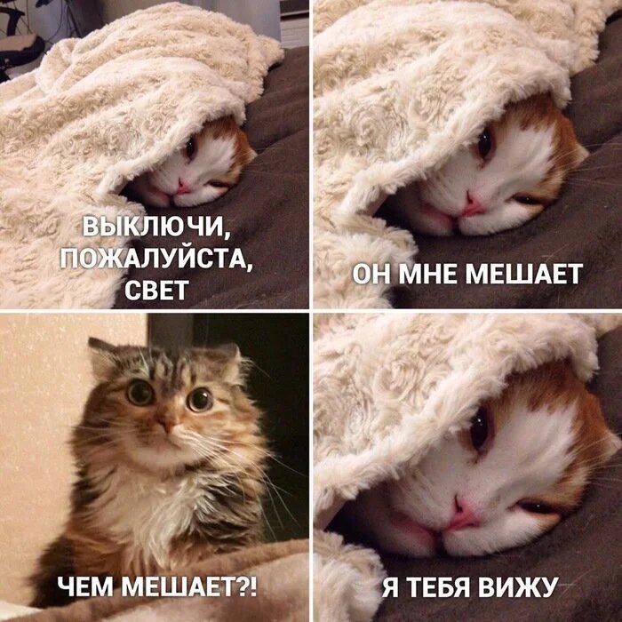 картинка 6eeb69e0f3 000000000