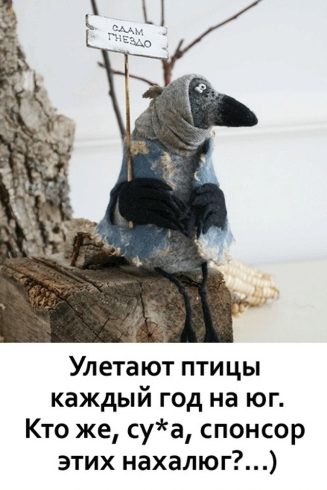 картинка 6f76c2dc73 21315898