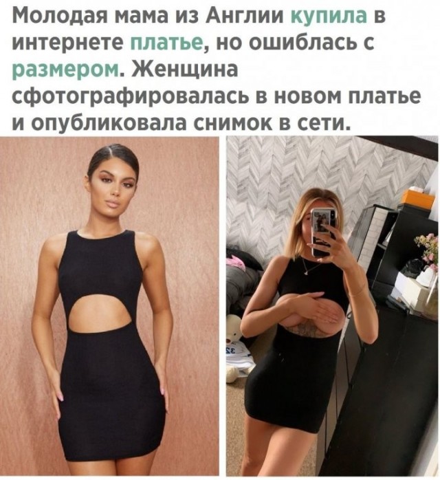 картинка 71503b3466 21269532