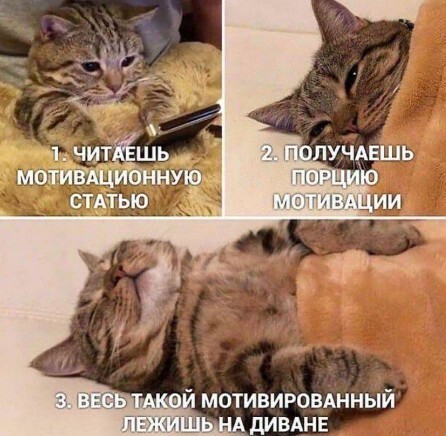 картинка 7158982740 00000