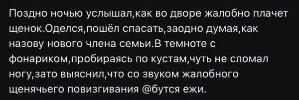 картинка 727cc84e17 21287568