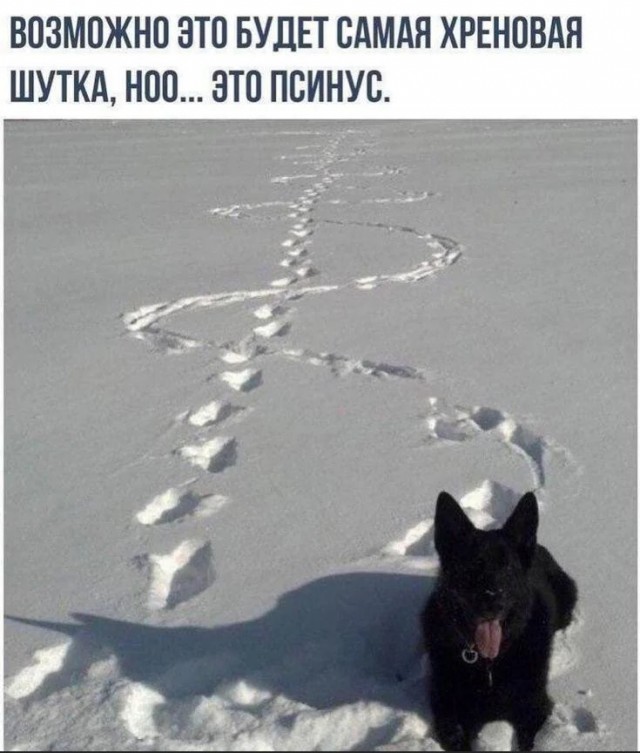 картинка 739effbabe 21275862