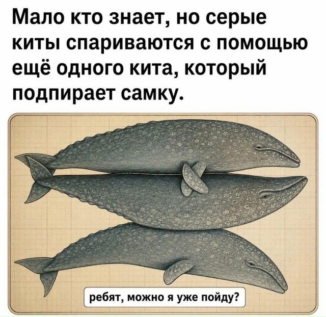 картинка 744cc608c9 21320723