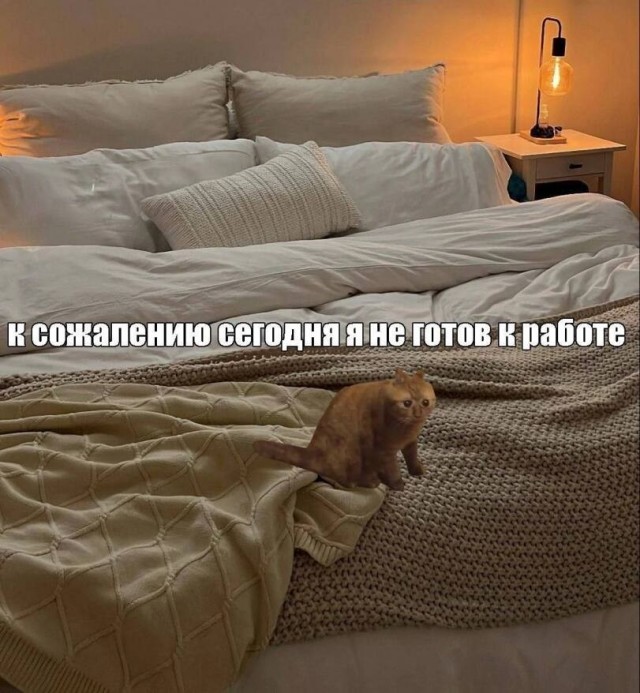 картинка 76f1a1c154 21301498