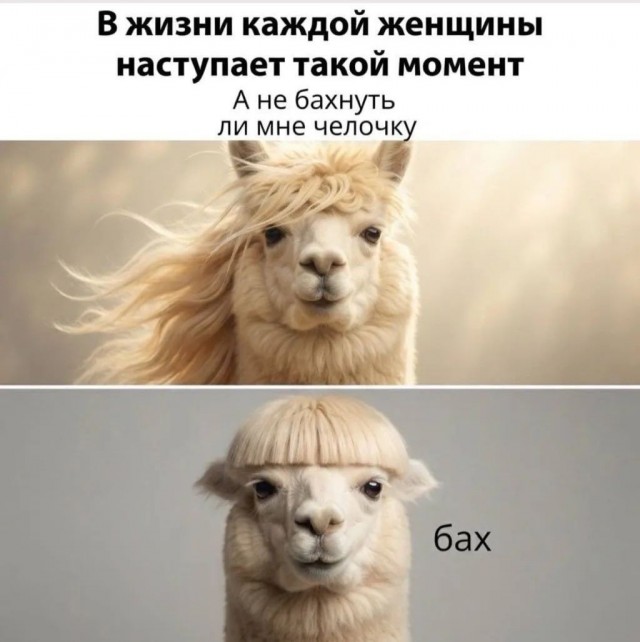 картинка 79ca702a60 21290258