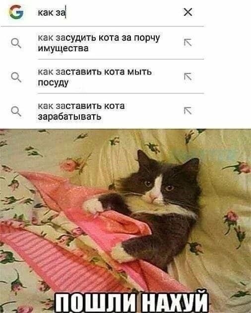 картинка 7e07c41fcd 21285102