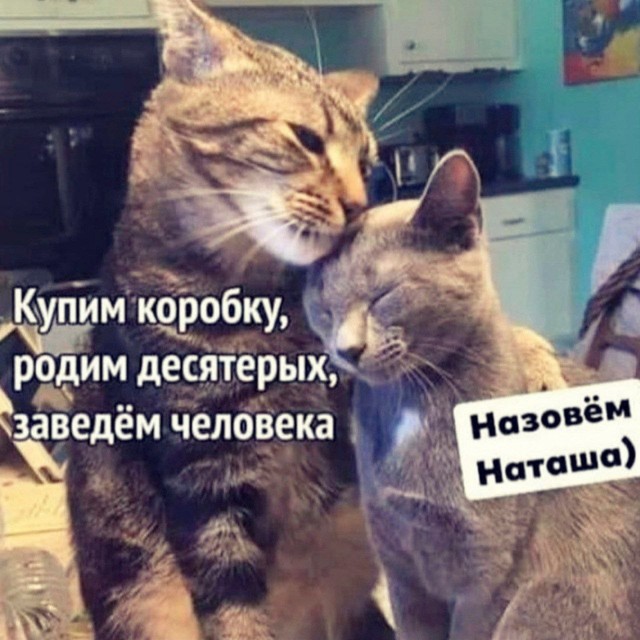 картинка 815338c058 21270147