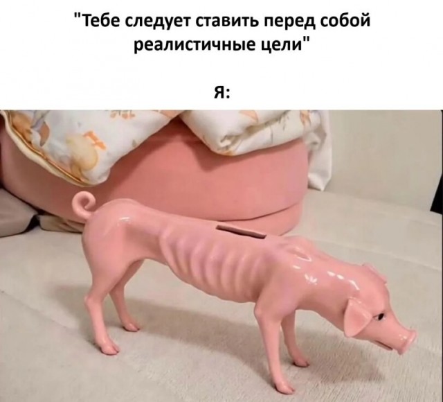 картинка 8426d21cd8 21302704