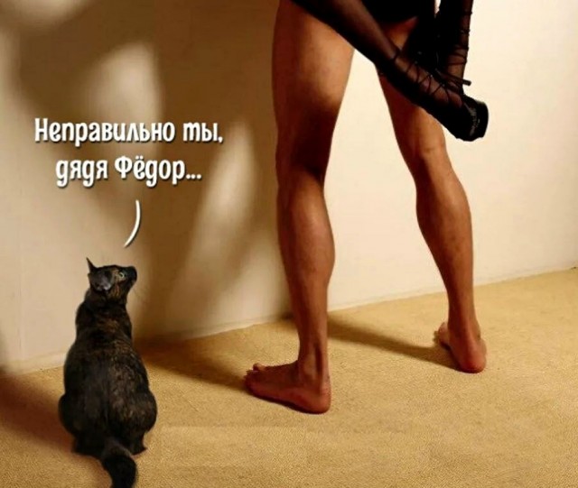 картинка 84f968e9c2 21289862