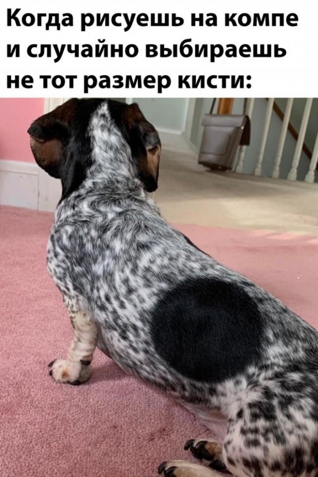 картинка 89568b4cfb 21269600
