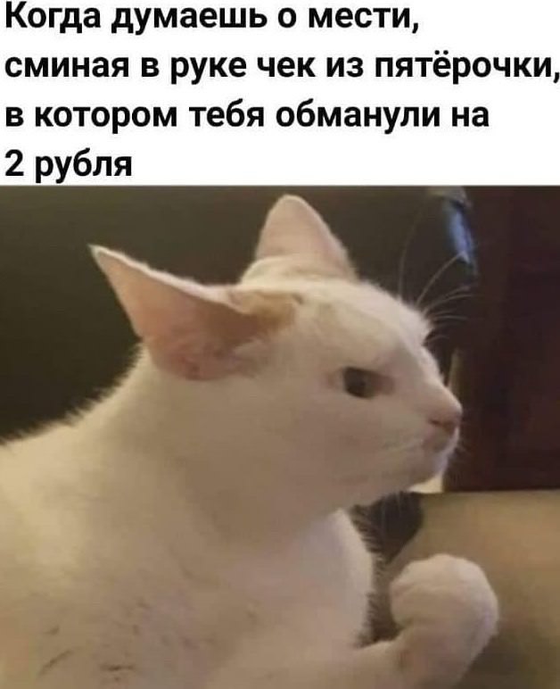 Мемы, которые спасают день станет, хочется, любимые, веселее, маленькая, пятница, совсем, близкоЛистайте, подборку, выбирайте, самые, удачные, кадры, сохраняйте, пересылайте, обязательно, чуточку, самому, другу, понятно