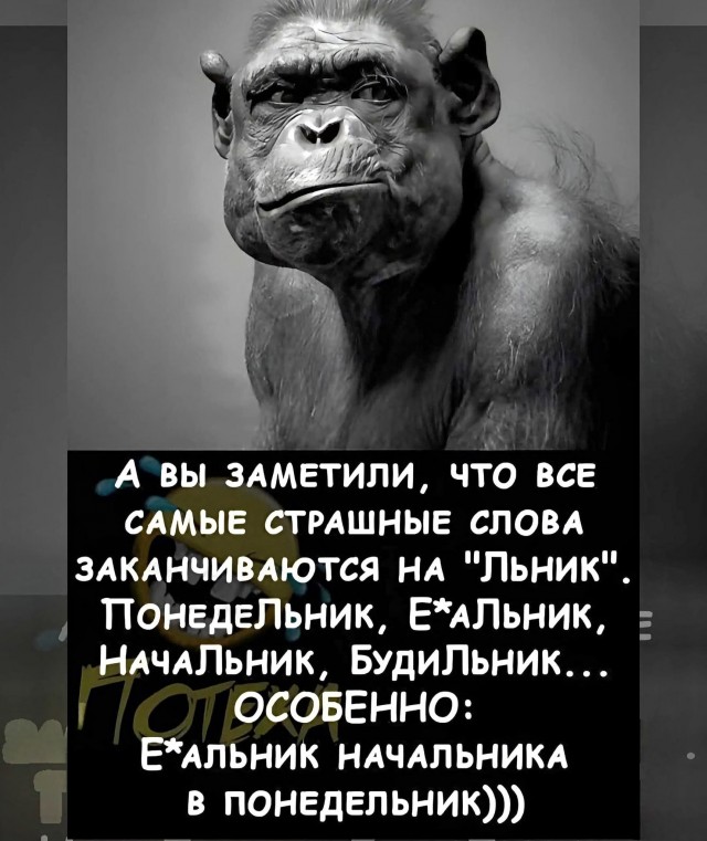 картинка 8cb4402056 21275848