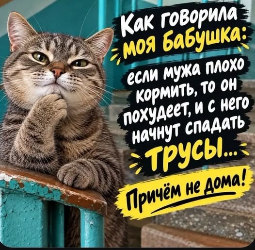 Маленькая пятница посреди недели: срочно требуется доза смеха! 😄 Маленькая пятница посреди недели: срочно требуется доза смеха! 😄 выходных, стали, надписями, настоящих, дотягивайте, позитивом, Заряжайтесь, любим, общем, смеяться, плакать, хочется, которых, шутки, картинки, ждать, мини‑праздник, превратилась, средой, просто