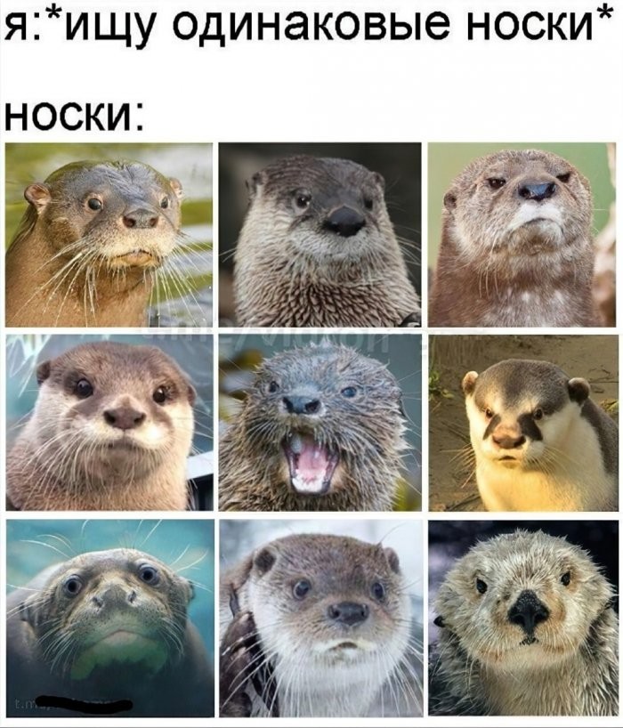 У нас для вас кое-что особенное! ✨ Новый сборник мемов, который точно поднимет настроение! У нас для вас кое-что особенное! ✨ Новый сборник мемов, который точно поднимет настроение! шутки, чтобы, офису, коллеге, кружку, после, третьей, вообще, захочется, обнять, соседа, откопали, простить, поудобнее, расслабьте, сейчас, слишком, серьёзное, ловите, заряд