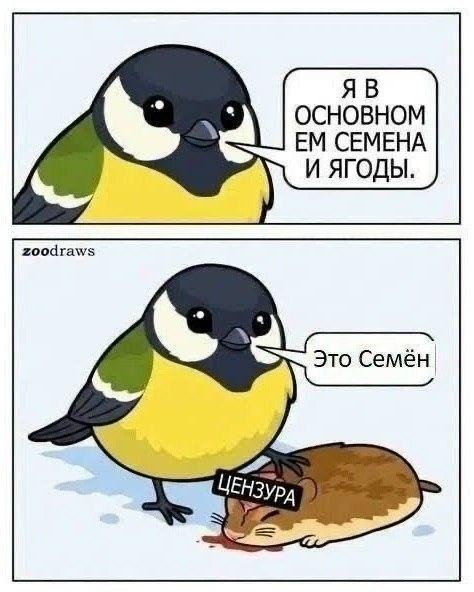 картинка 9221c47d0b 21362714
