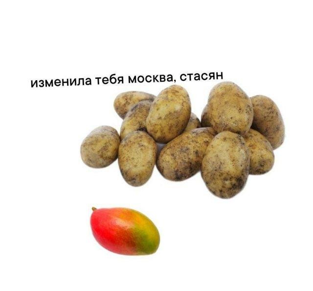 картинка 92cd0b0404 21291039