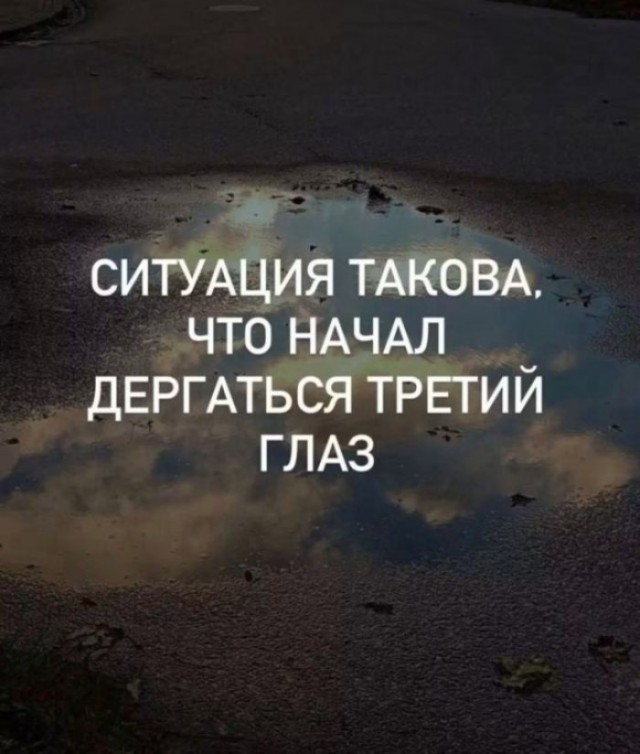 картинка 94f2a8b60e 21276109