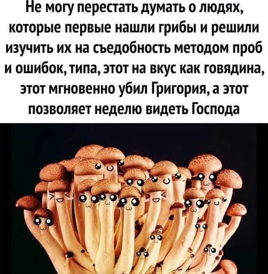 картинка 97e2735f4c 21291030