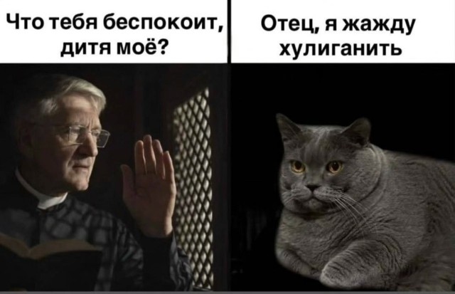 картинка 987398d7be 21302637