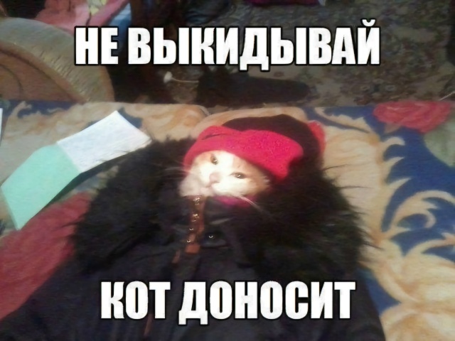 картинка 987725b948 fgqbfjin
