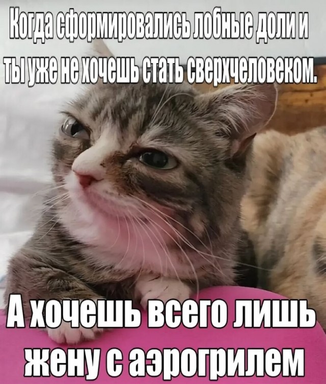 картинка 995bca0326 21305633