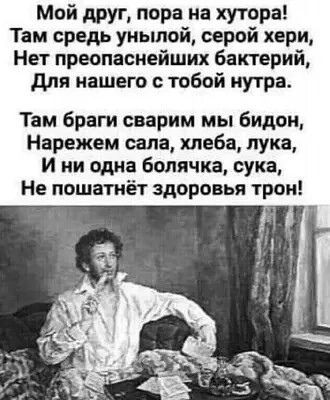 картинка 9b521a0eff 21269704