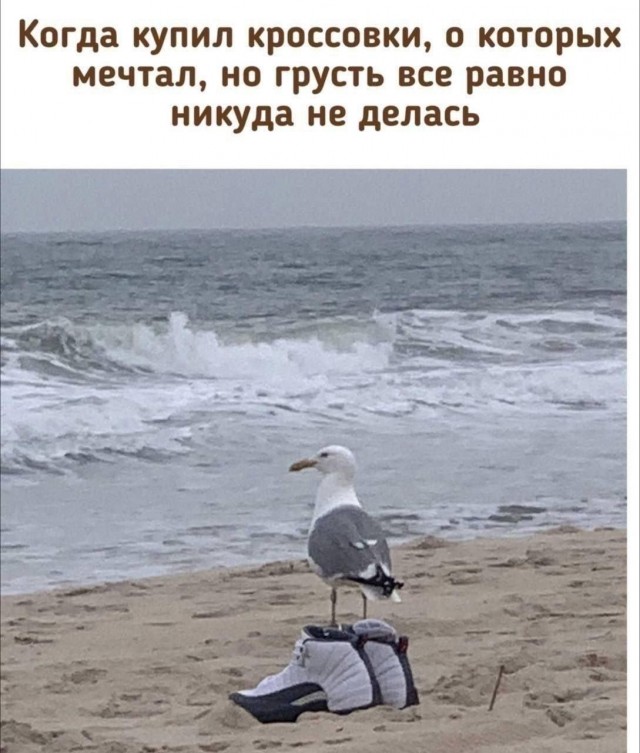 картинка 9b5a43b43f 21286272