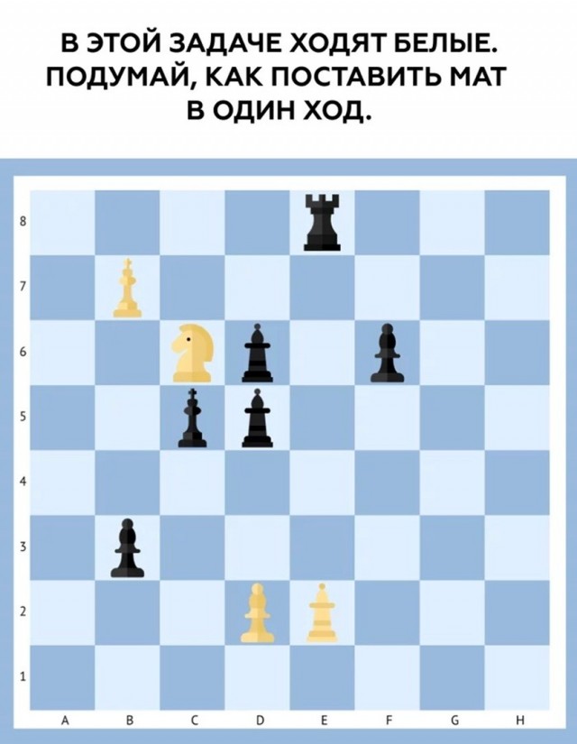 картинка 9f9c302019 21315945