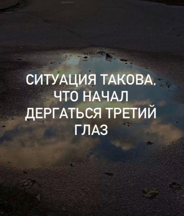 картинка a4d6a6448e 21275603