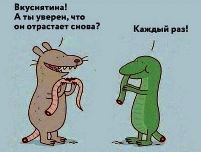 картинка a584151464 21271235