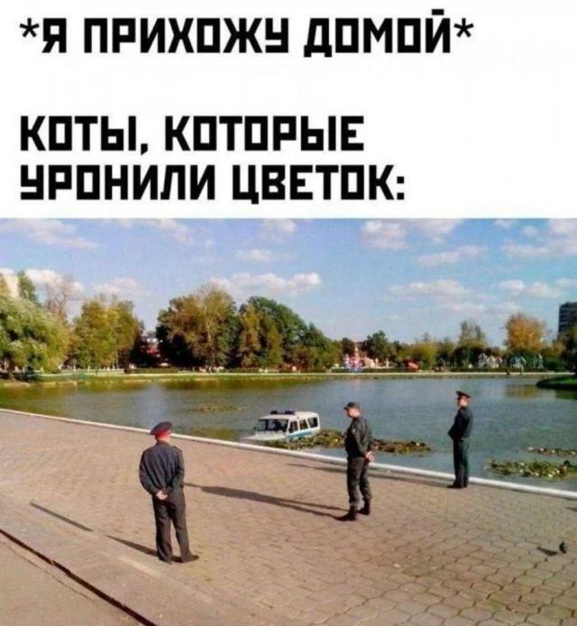 картинка a7b14f04c2 21272822