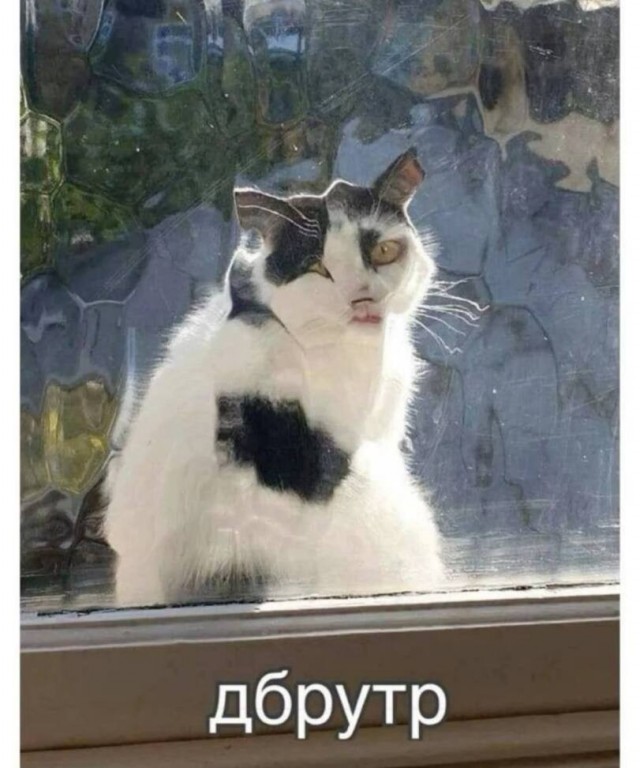 картинка a7d507db3d 21302718