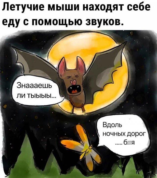 картинка a9c35e5855 zarjazhaemsja pozitivom 8