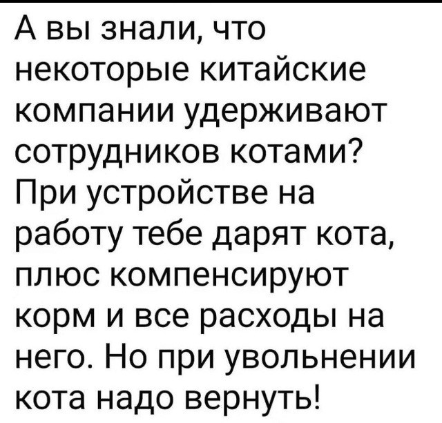 картинка aad215c906 21320711