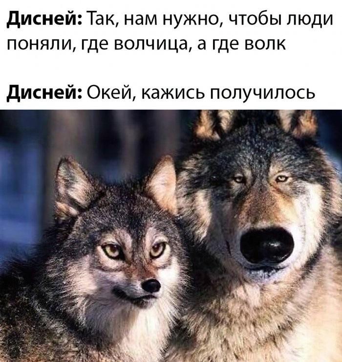 картинка aeadd9d939 nu chto zavarite sebe chego krepkogo i prigotovtes uletat v ad 2