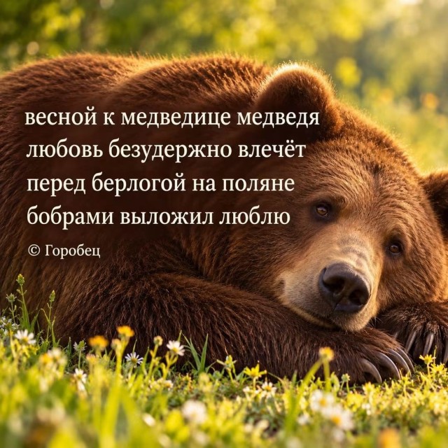 картинка af83e9acd6 21305783