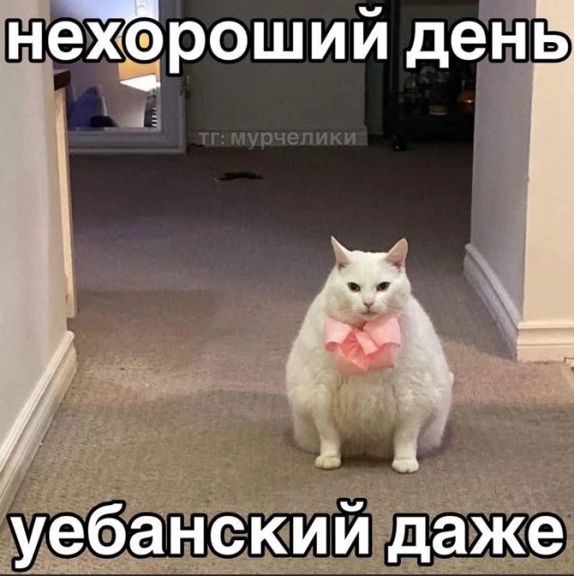 картинка b1966aaf69 21272826