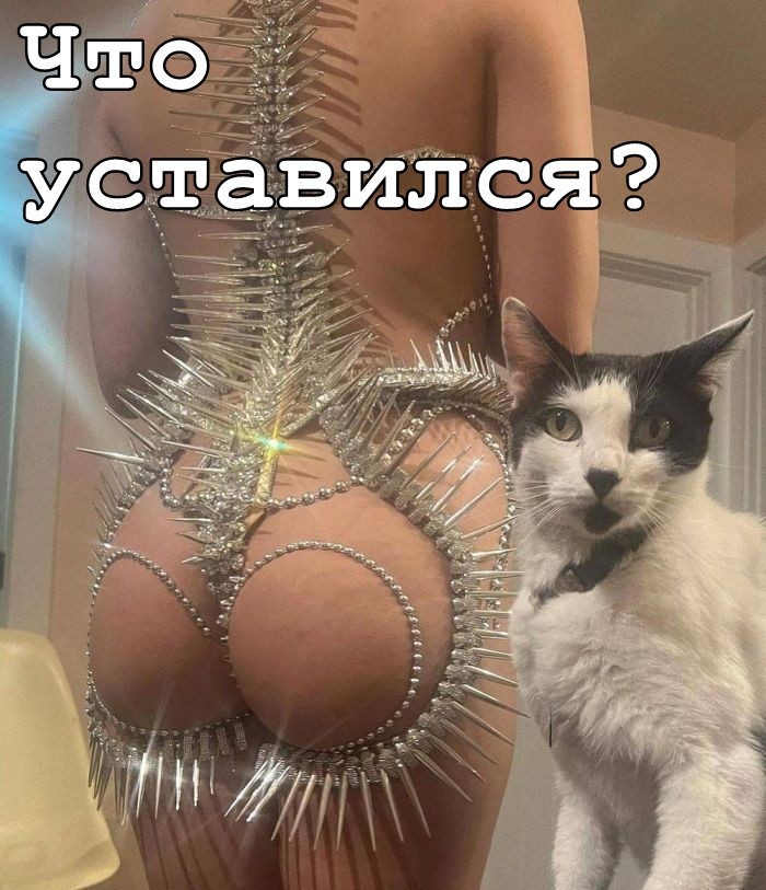 картинка b5881ef413 derzko no po delu memy kotorye ne budut izvinjatsja 25