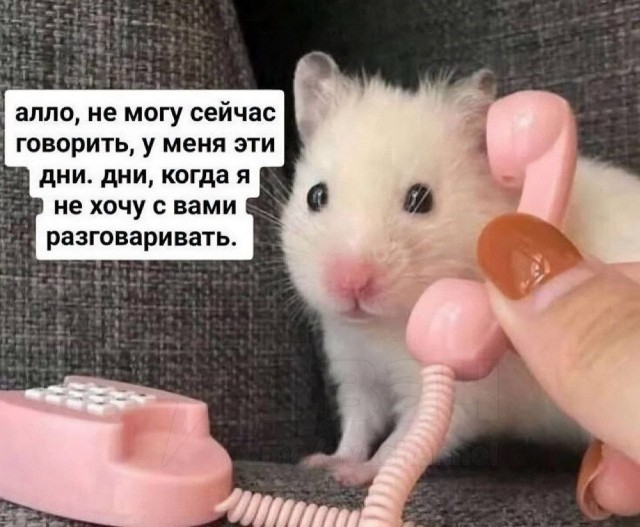 картинка ba16474499 21290331
