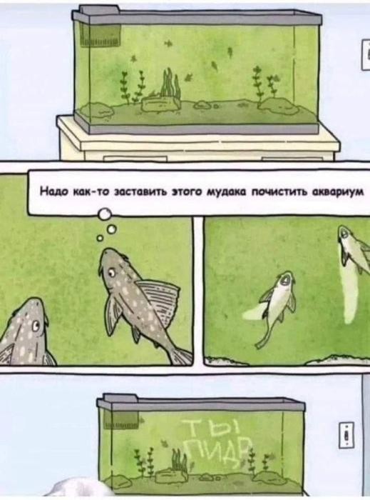 картинка bb3f36f928 ostorozhno uroven cinizma zashkalivaet 21